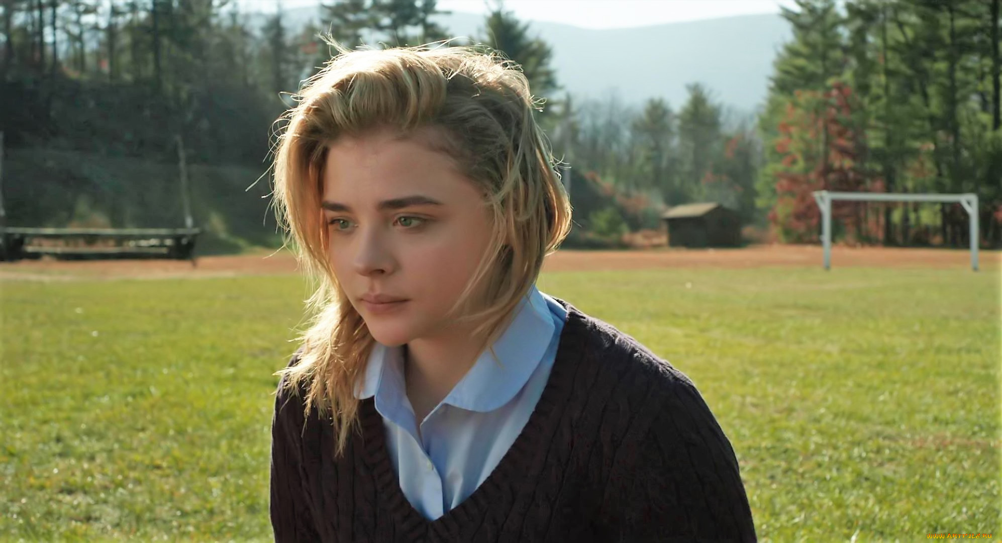  , the miseducation of cameron post, , , , 